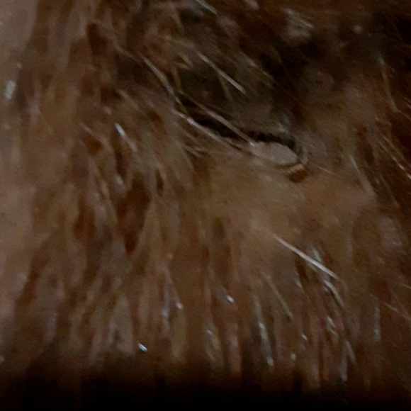 Fashion Furs B. Martins Fur Coat - Picture 5 of 9